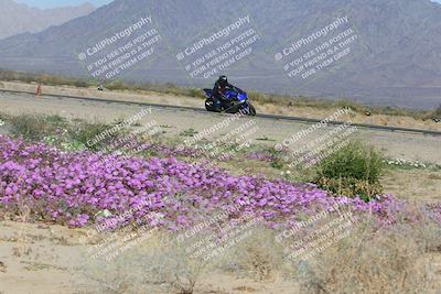 media/Feb-04-2023-SoCal Trackdays (Sat) [[8a776bf2c3]]/Turn 15 Inside Blooming (1050am)/